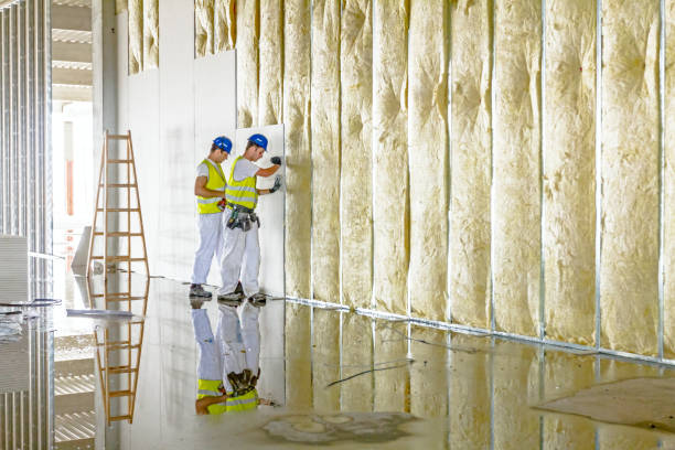 Best Insulation Maintenance and Repair in Moundridge, KS